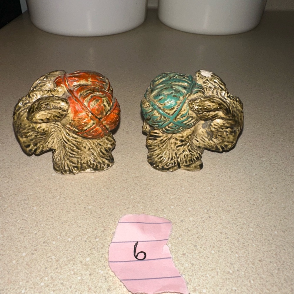 Rustic Orange and Teal Packing Mules Salt and Pepper Shakers